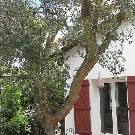 Bed & Breakfast Maysoe Chambres D'hotes *